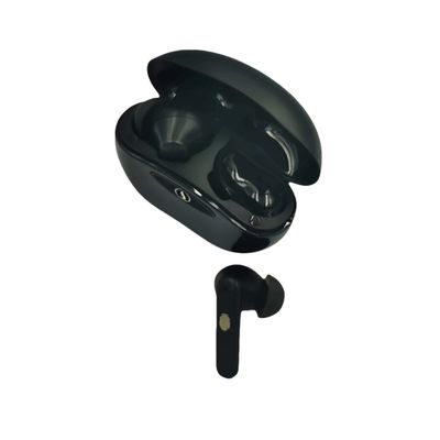 5 레벨 은퇴자 안의 보이지 않는 청각기 리?? 이온 보이지 않는 청각기