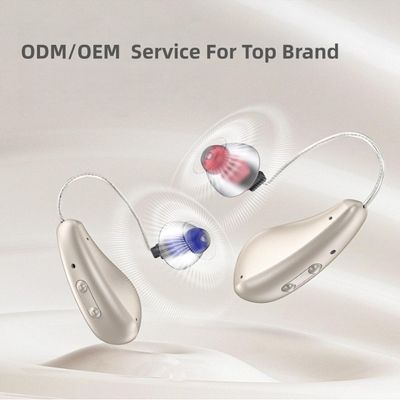 중국 OEM/ODM 의료기기 공급업체에서 제조한 가장 작은 BTE 디지털 보청기